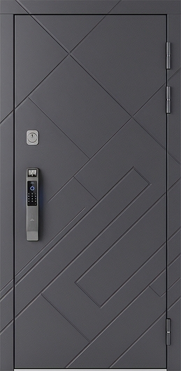 Стальная дверь с биометрическим замком и фрезерованными плитами МДФ графит